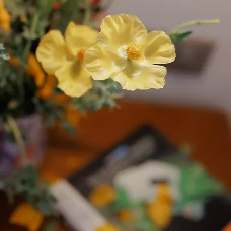 Apartmán Litharia Kastrákion