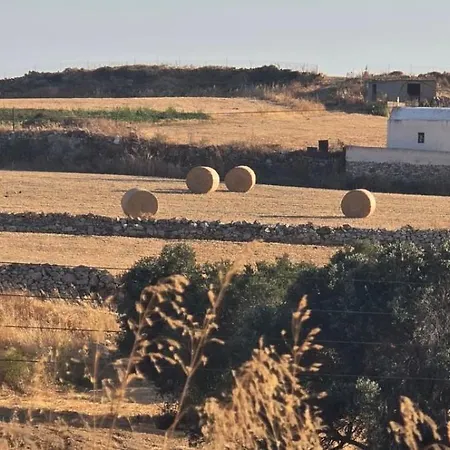 Naxos Near Kastraki House With Sea View And Pool Apartment *
